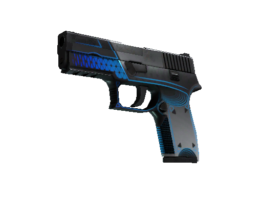 P250 | Valence (Well-Worn)