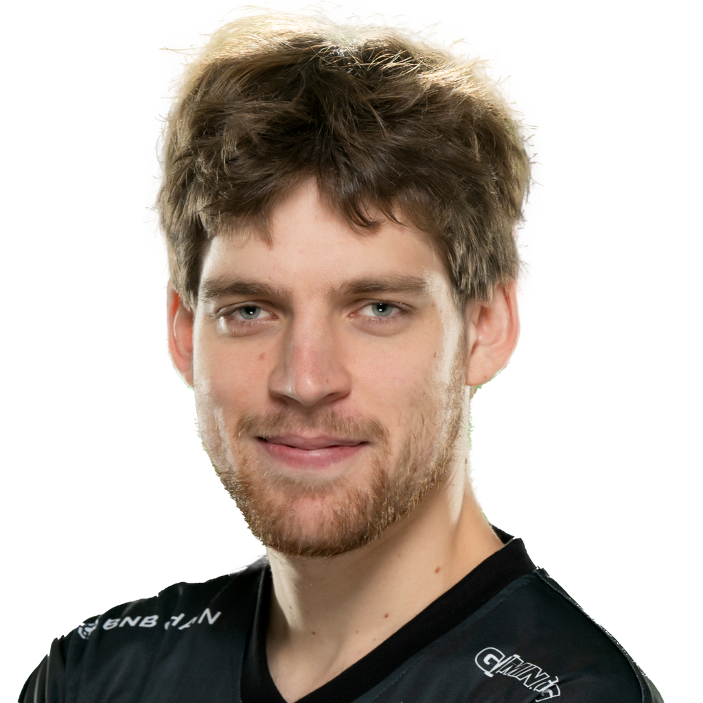 Seleri Player Sticker - TI 2024