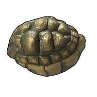 Tortoise Rock