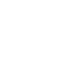 Tundra Esports Team Sticker - TI 2022