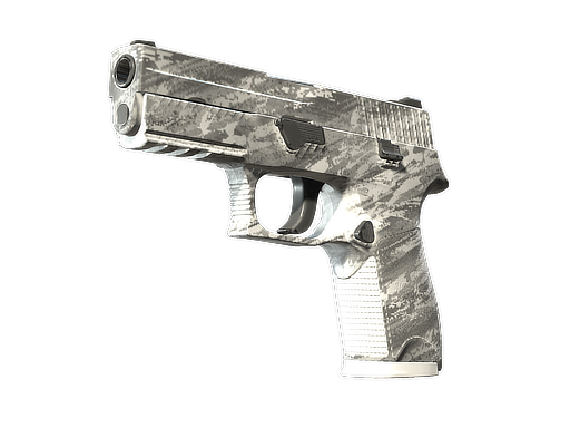P250 | Sleet (Factory New)