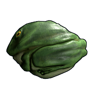 Frog Rock