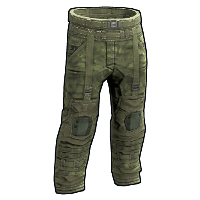 Forest Raiders Pants