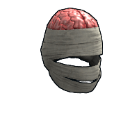 Wrapped Brain