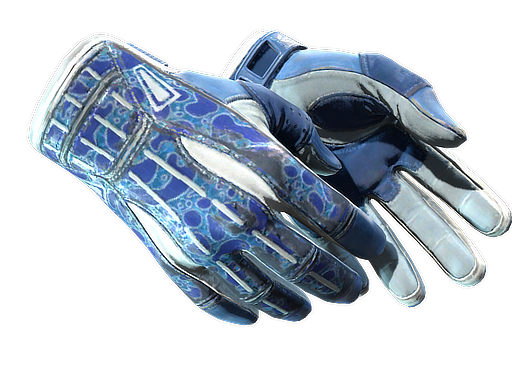 ★ Sport Gloves | Amphibious (Well-Worn)