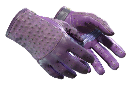 ★ Driver Gloves | Plum Quill (Field-Tested)