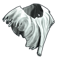 Ghost Guise Poncho