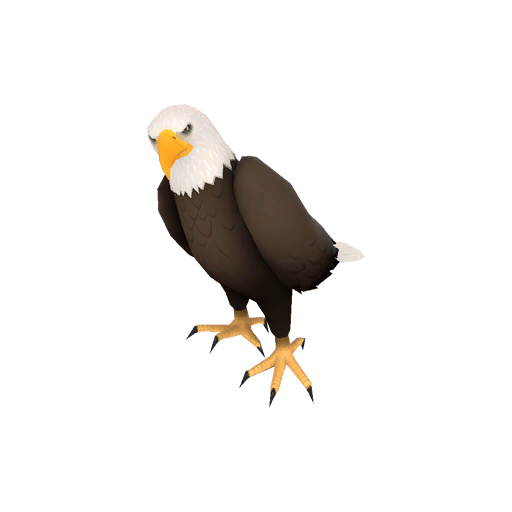 Strange Private Maggot Muncher