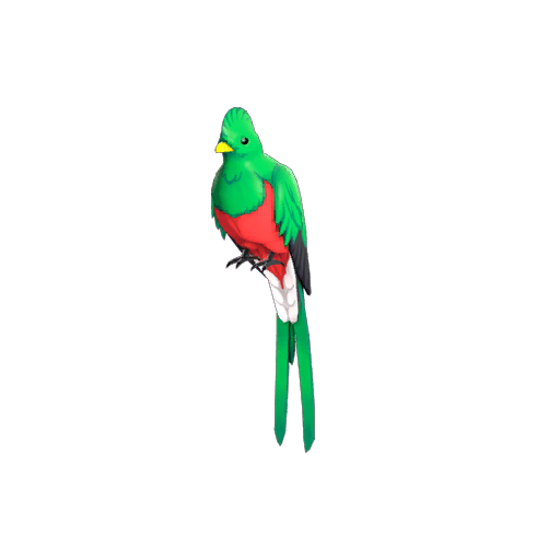 Quizzical Quetzal