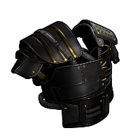Black Gold Vest